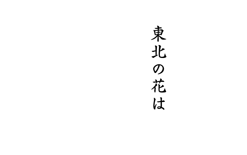 東北の花は