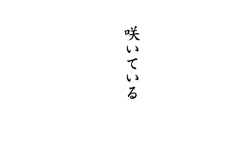 咲いている