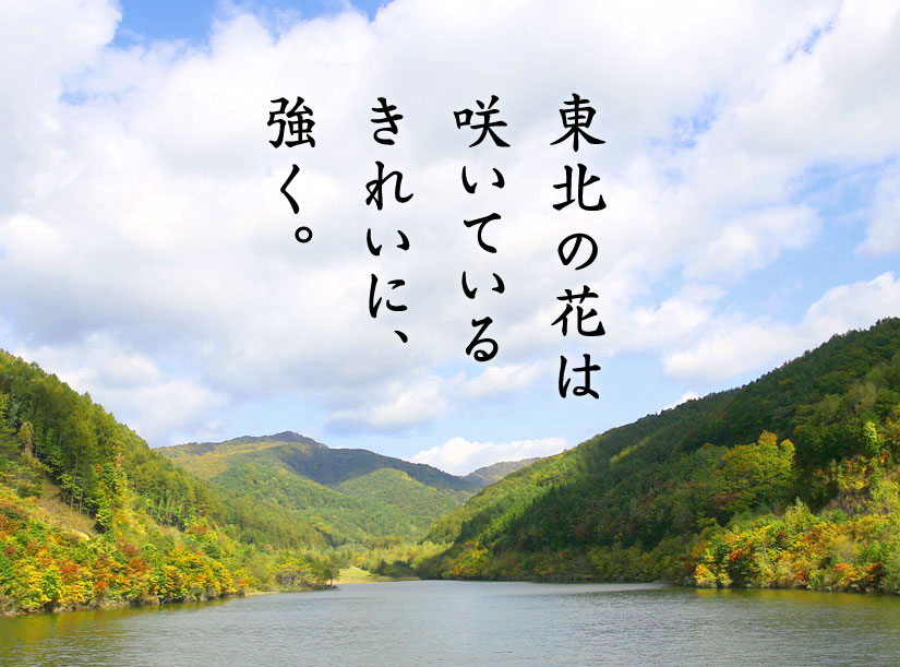 東北の花は咲いているきれいに強く